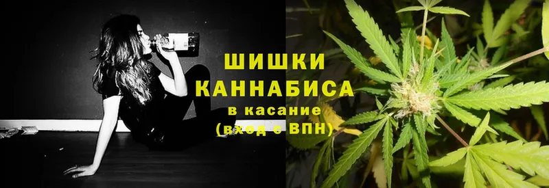 Бошки Шишки White Widow  Боровск 